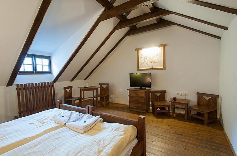 Strašidlo Buru Buru - De luxe, 2 + 0, Hotel U Malého Vítka